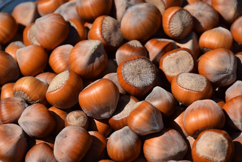 Toasted Nuts and Seeds